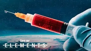 How Fast Can We Make a Coronavirus Vaccine?