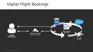 Digital Flight Bookings through APIs