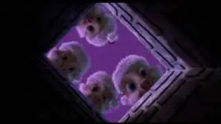 CHUBBS CHUBBS