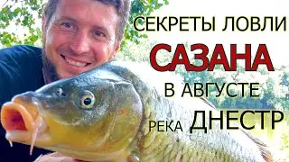 Ловля КАРПА САЗАНА СОМА И КАРАСЯ в августе\НА КУКУРУЗУ\Рыбалка с ночевкой\РЫБАЛКА В ТЯЖЕЛЫХ УСЛОВИЯХ