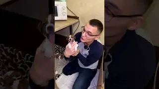 Чесята /ч.1  