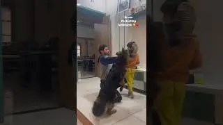 How Dog Protecting Kid | 
