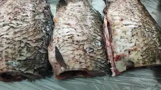Маринованный карась, этапы производства, 2024