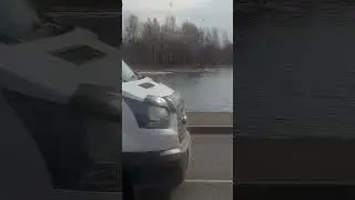 Бакланы очищают озера от невестой рыбы в Ленинском районе города Иркутска.