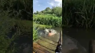 Лето)