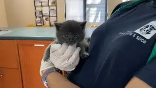 Working Together to Save Lives