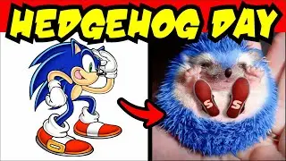 Characters from Sonic⚡️In Real Life📷💥