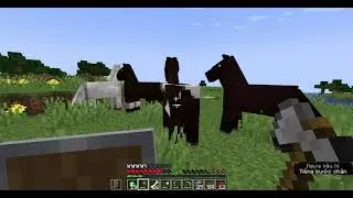 Minecraft till videos got 10k view #3 : Building My House