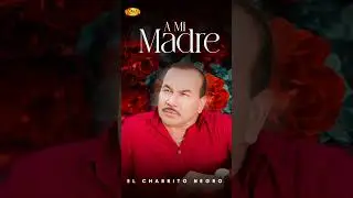 #AMiMadre  #ElCharritoNegro #madre #mamá #diadelasmadres #shorts