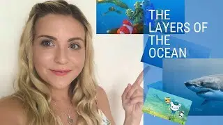 Let's learn the Levels of the Ocean | Learning Corner |  Kids Learning