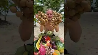 Longan fruit, extremely sweet!