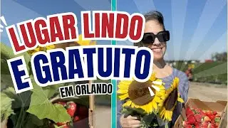 Lugar GRATUITO em Orlando Florida #viagemorlando #passeiogratisorlando #oquefazeremorlando