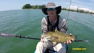 Kicker Chatterbait