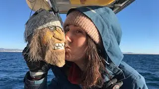 Première navigation en hiver : Lady M change d’horizon | n°60