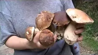 Výstup na Homôlku
