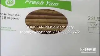 PP Corrugated Box Printing Machine-Multicolor