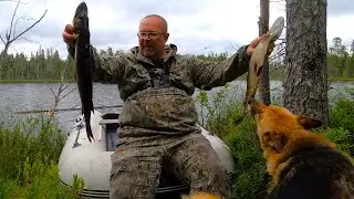 Рыбалка в Карелии на новом озере. Щука есть.