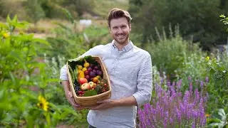 Från gräsmark till ätligt landskap på 2,5 år! Frukt, bär, nötter, örter & blommor