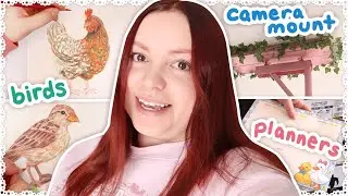 Ceiling Camera, Bird Doodles & Ducky Notepads