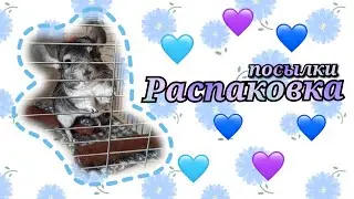 ~Распаковка посылки~ для Шарика💜💙
