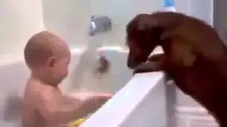 Best Funny Baby -FUNNY BABY VIDEOS