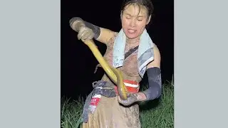 半夜去池塘里捉鳝鱼第6天