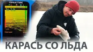 Crucian carp from the ice!!! with Praktik 8 Pro Wi-Fi and Echovisor