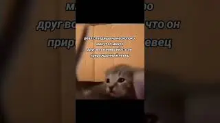 #funny #games #мемы #cs2 #кот #юмор #shorts #memes #dota2