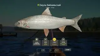 💥Русская рыбалка 4💥Тунгуска,новый опыт 😅😅