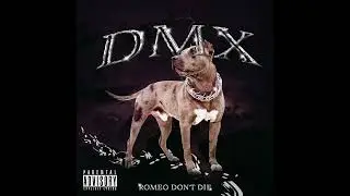 Romeo Don't Die - DMX (Prod. By Dice Playy)