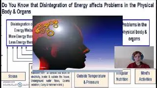 Prevent Disease, Discover the Cause - Bioresonance Technology with Quantum room