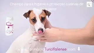 Champô para a higiene e protecção cutânea de cães e gatos