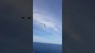 Formación de Harrier sobre el Juan Carlos I