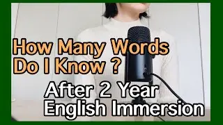 Vocabulary Progress | English Immersion 24 Months Update | AJATT/MIA/Migaku/Refold
