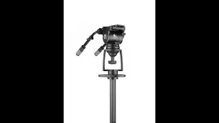 Pedestal Pro