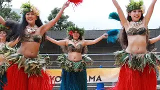 タヒチアンダンスHeirani② Live！横浜2024