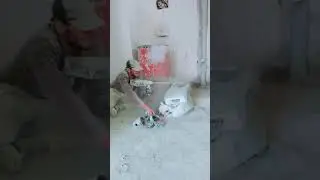 try not to laugh 😂🤣😂🤣