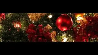 North Dorchester High School Chorus - 37th Annual Christmas Festival of Trees November 28, 2022