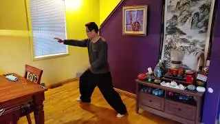 Chen Style Tai Chi: Slow vs Fast Motion