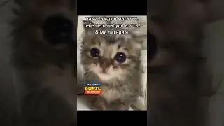 Бананчики🥹