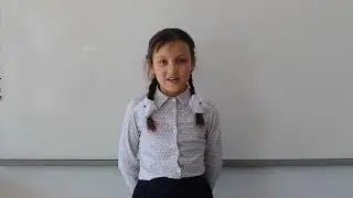 Читаем стихи про лес