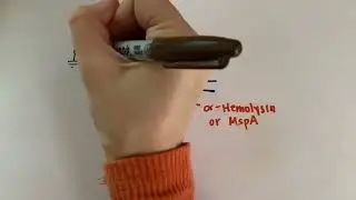 Minute Biophysics - Nanopores for DNA Sequencing, Stephanie