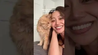 We adopted a senior cat but I didn’t expect THIS