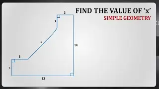 Can you solve this? Find the value of x | Olympiad Mathematics