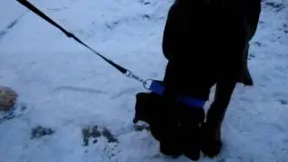 Zero Snarfles Snow