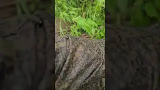 Вот блин попал))