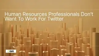 Human Resources Professionals Don't Want To Work For Twitter