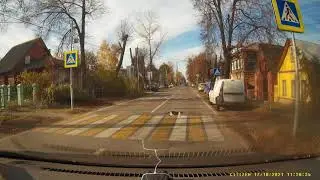 Самый умный пешеход, кот и переход