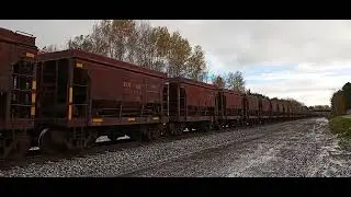 CN U71681