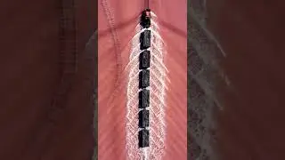Поезд. Озеро Бурсоль. Алтайский край